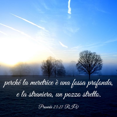Picture 03 - Proverbi 23:27 RIV - perché la meretrice è una fossa profonda, e la - Bible Verse Picture