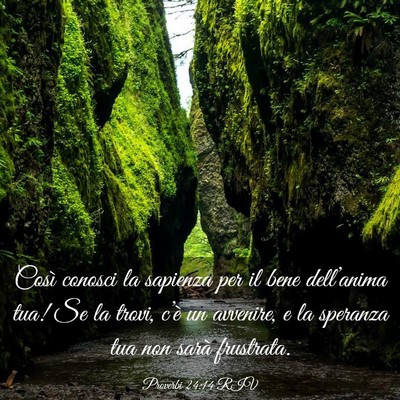 Picture 03 - Proverbi 24:14 RIV - Così conosci la sapienza per il bene - Bible Verse Picture