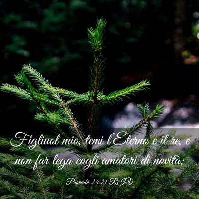 Picture 03 - Proverbi 24:21 RIV - Figliuol mio, temi l’Eterno e il re, e non far - Bible Verse Picture