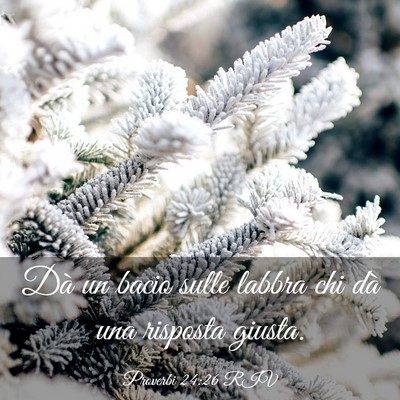 Picture 03 - Proverbi 24:26 RIV - Dà un bacio sulle labbra chi dà una risposta - Bible Verse Picture