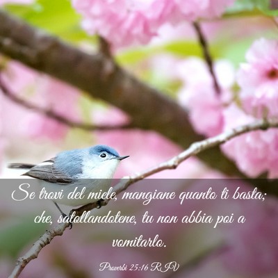 Picture 03 - Proverbi 25:16 RIV - Se trovi del miele, mangiane quanto ti basta; - Bible Verse Picture