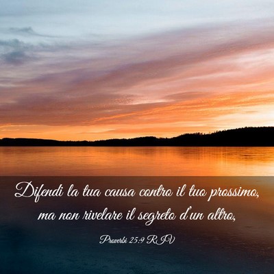 Picture 03 - Proverbi 25:9 RIV - Difendi la tua causa contro il tuo prossimo, ma - Bible Verse Picture