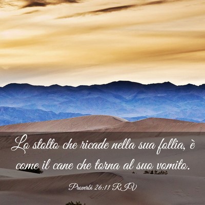 Picture 03 - Proverbi 26:11 RIV - Lo stolto che ricade nella sua follia, è come il - Bible Verse Picture