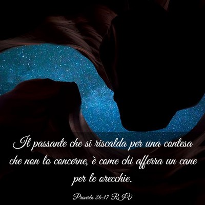 Picture 03 - Proverbi 26:17 RIV - Il passante che si riscalda per una contesa che - Bible Verse Picture