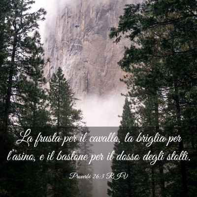 Picture 03 - Proverbi 26:3 RIV - La frusta per il cavallo, la briglia per - Bible Verse Picture