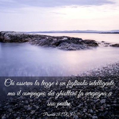 Picture 03 - Proverbi 28:7 RIV - Chi osserva la legge è un figliuolo - Bible Verse Picture