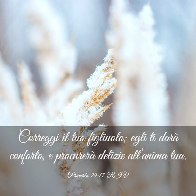 Picture 03 - Proverbi 29:17 RIV - Correggi il tuo figliuolo; egli ti darà - Bible Verse Picture