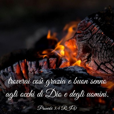 Picture 03 - Proverbi 3:4 RIV - troverai così grazia e buon senno agli occhi di - Bible Verse Picture