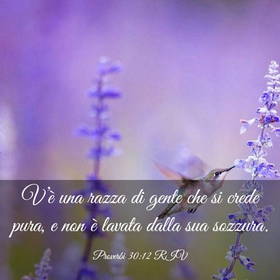 Picture 03 - Proverbi 30:12 RIV - V’è una razza di gente che si crede pura, e - Bible Verse Picture