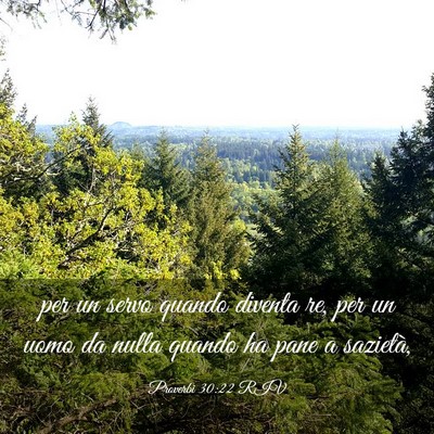 Picture 03 - Proverbi 30:22 RIV - per un servo quando diventa re, per un uomo da - Bible Verse Picture