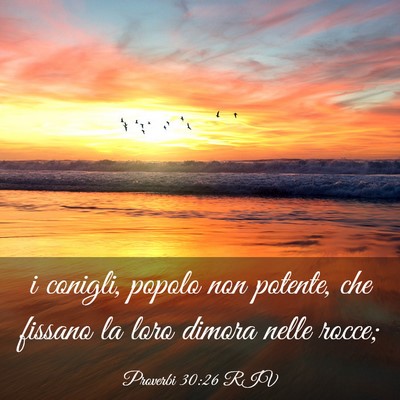 Picture 03 - Proverbi 30:26 RIV - i conigli, popolo non potente, che fissano la - Bible Verse Picture