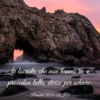 Picture 03 - Proverbi 30:27 RIV - le locuste, che non hanno re, e procedon tutte, - Bible Verse Picture