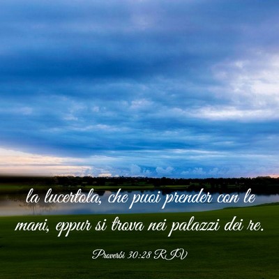 Picture 03 - Proverbi 30:28 RIV - la lucertola, che puoi prender con le mani, eppur - Bible Verse Picture