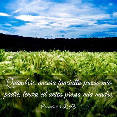 Picture 03 - Proverbi 4:3 RIV - Quand’ero ancora fanciullo presso mio padre, - Bible Verse Picture
