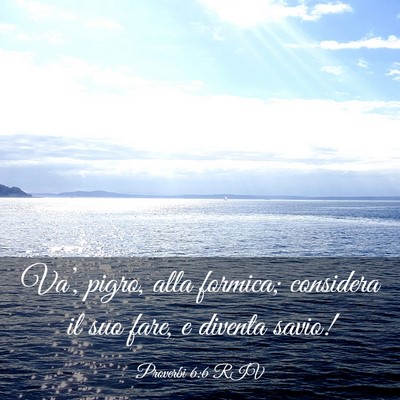 Picture 03 - Proverbi 6:6 RIV - Va’, pigro, alla formica; considera il suo - Bible Verse Picture