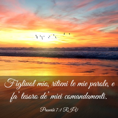 Picture 03 - Proverbi 7:1 RIV - Figliuol mio, ritieni le mie parole, e fa’ - Bible Verse Picture