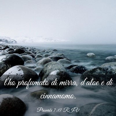 Picture 03 - Proverbi 7:17 RIV - l’ho profumato di mirra, d’aloe e di - Bible Verse Picture