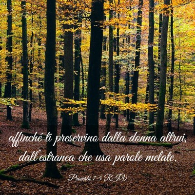 Picture 03 - Proverbi 7:5 RIV - affinché ti preservino dalla donna altrui, - Bible Verse Picture