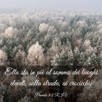 Picture 03 - Proverbi 8:2 RIV - Ella sta in piè al sommo dei luoghi elevati, - Bible Verse Picture