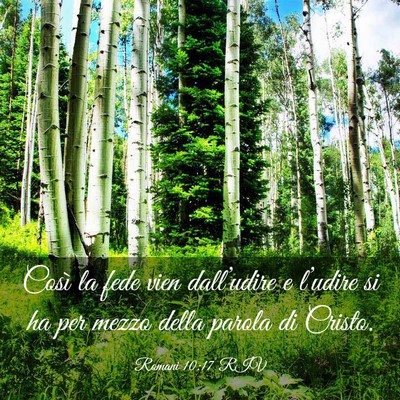 Picture 03 - Romani 10:17 RIV - Così la fede vien dall’udire e l’udire si ha - Bible Verse Picture