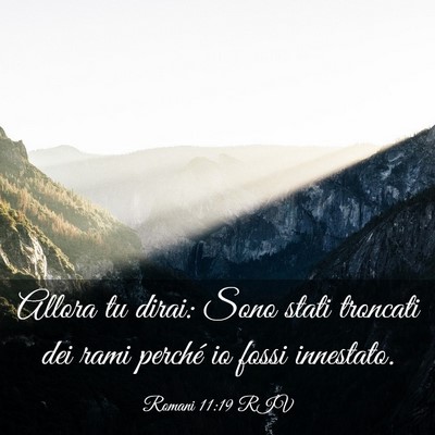 Picture 03 - Romani 11:19 RIV - Allora tu dirai: Sono stati troncati dei rami - Bible Verse Picture