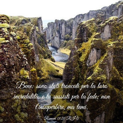 Picture 03 - Romani 11:20 RIV - Bene: sono stati troncati per la loro - Bible Verse Picture