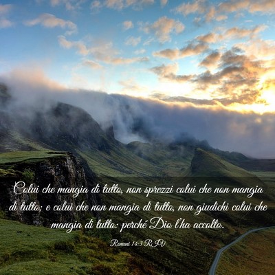 Picture 03 - Romani 14:3 RIV - Colui che mangia di tutto, non sprezzi colui che - Bible Verse Picture