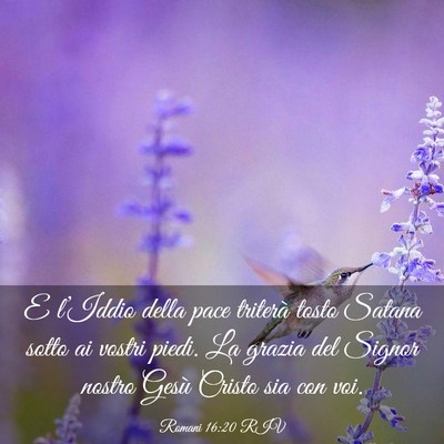 Picture 03 - Romani 16:20 RIV - E l’Iddio della pace triterà tosto Satana - Bible Verse Picture