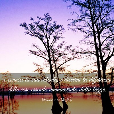 Picture 03 - Romani 2:18 RIV - e conosci la sua volontà, e discerni la - Bible Verse Picture