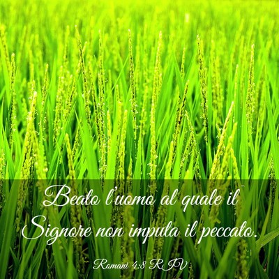 Picture 03 - Romani 4:8 RIV - Beato l’uomo al quale il Signore non imputa il - Bible Verse Picture