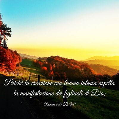 Picture 03 - Romani 8:19 RIV - Poiché la creazione con brama intensa aspetta la - Bible Verse Picture