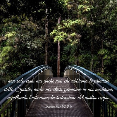 Picture 03 - Romani 8:23 RIV - non solo essa, ma anche noi, che abbiamo le - Bible Verse Picture
