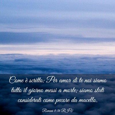 Picture 03 - Romani 8:36 RIV - Come è scritto: Per amor di te noi siamo tutto - Bible Verse Picture