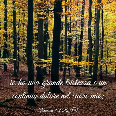Picture 03 - Romani 9:2 RIV - io ho una grande tristezza e un continuo dolore - Bible Verse Picture