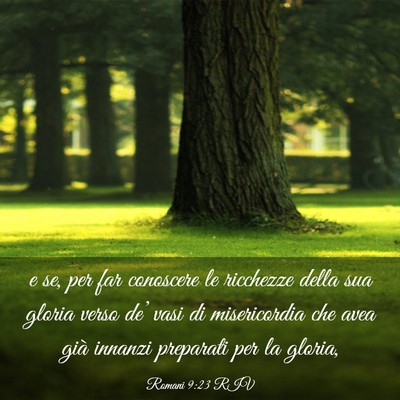 Picture 03 - Romani 9:23 RIV - e se, per far conoscere le ricchezze della sua - Bible Verse Picture