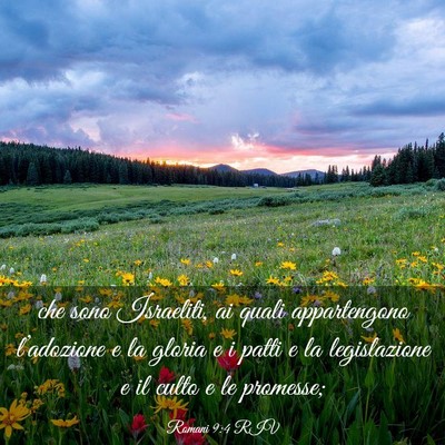 Picture 03 - Romani 9:4 RIV - che sono Israeliti, ai quali appartengono - Bible Verse Picture