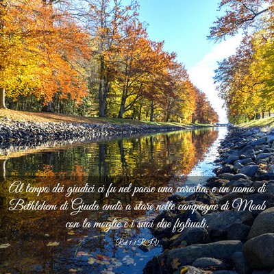 Picture 03 - Rut 1:1 RIV - Al tempo dei giudici ci fu nel paese una - Bible Verse Picture