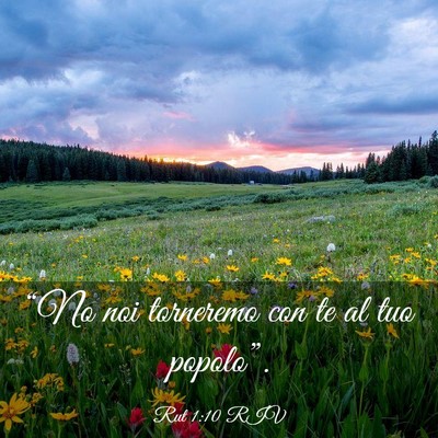 Picture 03 - Rut 1:10 RIV - “No noi torneremo con te al tuo - Bible Verse Picture