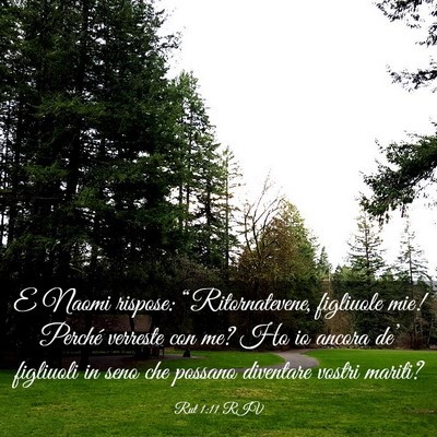 Picture 03 - Rut 1:11 RIV - E Naomi rispose: “Ritornatevene, figliuole mie! - Bible Verse Picture