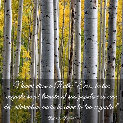 Picture 03 - Rut 1:15 RIV - Naomi disse a Ruth: “Ecco, la tua cognata se - Bible Verse Picture