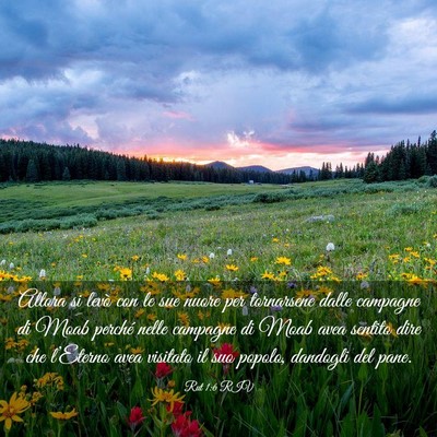 Picture 03 - Rut 1:6 RIV - Allora si levò con le sue nuore per tornarsene - Bible Verse Picture