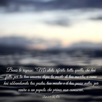 Picture 03 - Rut 2:11 RIV - Boaz le rispose: “M’è stato riferito tutto - Bible Verse Picture