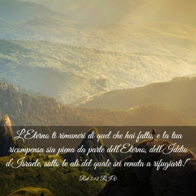 Picture 03 - Rut 2:12 RIV - L’Eterno ti rimuneri di quel che hai fatto, e - Bible Verse Picture