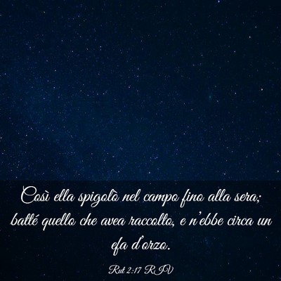 Picture 03 - Rut 2:17 RIV - Così ella spigolò nel campo fino alla sera; - Bible Verse Picture
