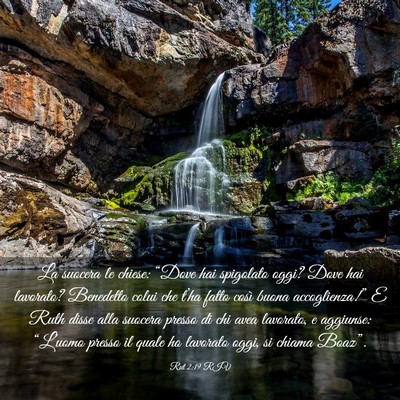Picture 03 - Rut 2:19 RIV - La suocera le chiese: “Dove hai spigolato oggi? - Bible Verse Picture