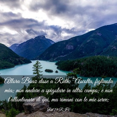 Picture 03 - Rut 2:8 RIV - Allora Boaz disse a Ruth: “Ascolta, figliuola - Bible Verse Picture