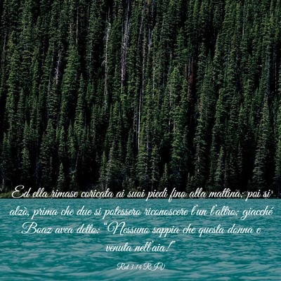 Picture 03 - Rut 3:14 RIV - Ed ella rimase coricata ai suoi piedi fino alla - Bible Verse Picture