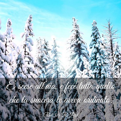 Picture 03 - Rut 3:6 RIV - E scese all’aia, e fece tutto quello che la - Bible Verse Picture