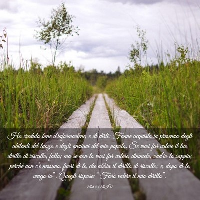Picture 03 - Rut 4:4 RIV - Ho creduto bene d’informartene, e di dirti: - Bible Verse Picture