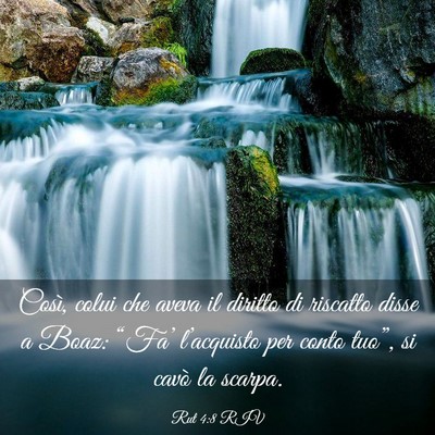 Picture 03 - Rut 4:8 RIV - Così, colui che aveva il diritto di riscatto - Bible Verse Picture